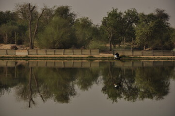 Fototapeta premium duck flying over the river