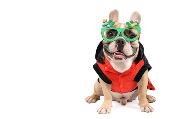 cute french bulldog  wear  fancy glasses and sit isolated on white background
