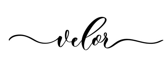 Velor - vector calligraphic inscription with smooth lines for shop fabric and knitting, logo, textile.