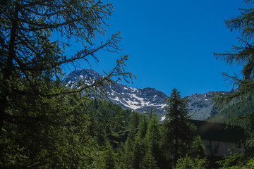 Passeggiate estive