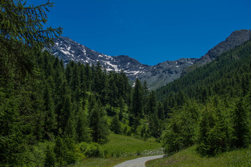 Obraz premium Passeggiate estive