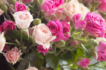 .White purple roses flowers background for wedding