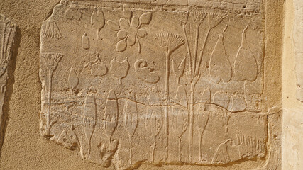 The Botanical Chamber, the Temple of Karnak hieroglyphic of exotic plants and birds on wall