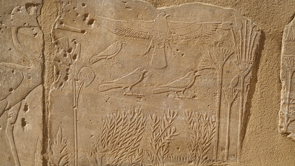 The Botanical Chamber, the Temple of Karnak hieroglyphic of exotic plants and birds on wall