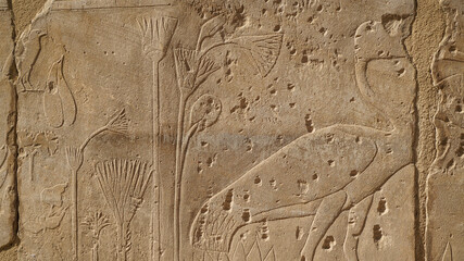 The Botanical Chamber, the Temple of Karnak hieroglyphic of exotic plants and birds on wall