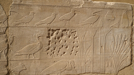The Botanical Chamber, the Temple of Karnak hieroglyphic of exotic plants and birds on wall