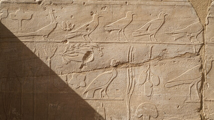 The Botanical Chamber, the Temple of Karnak hieroglyphic of exotic plants and birds on wall