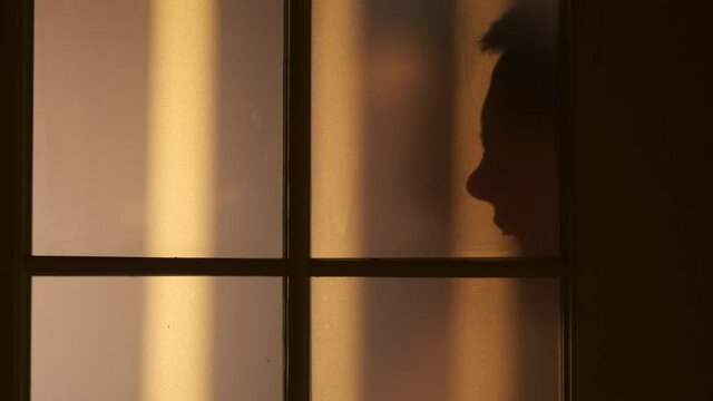 Annoyed man screaming and gesturing, view through the door glass