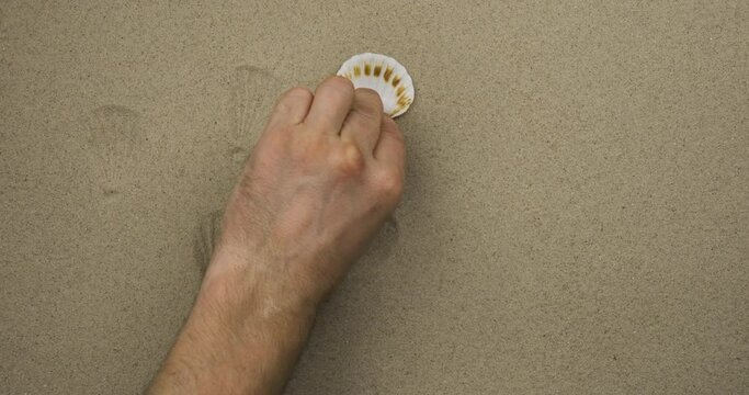 Imprints of a seashell on the sand. In real time. A male hand makes shell imprints on the sand.