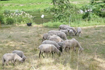 Erzgebirge