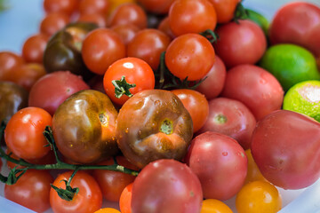 Tomatoes are red vegetables.