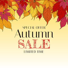Obraz premium Autumn Sale Background Template with leaves. Special offer. Limited Time. Vector Illustration