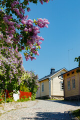 Beautiful street with old wooden houses and blooming lilac in old town of Porvoo