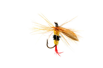 Fly for fishing on white background .