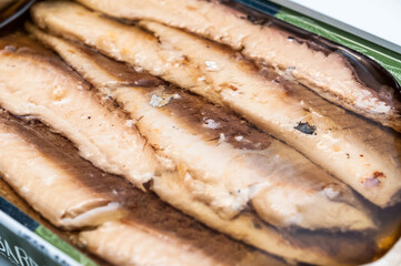 Can of sardines 