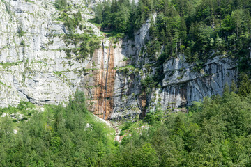 Rock wall with coniferous trees in the Alps. Natural background. Austria