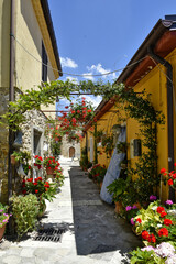 Fototapeta na wymiar A street decorated with flowers in the medieval town of Cairano in the province of Avellino, Italy.