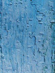 old tree - background. old paint of blue and turquoise color. ruined painted background for design