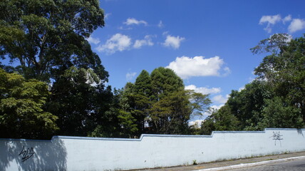 Fototapeta premium SONY DSC