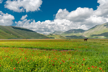 Castelluccio di Norcia, uno splendido borgo dell'Umbria distrutto dal terremoto del 2016