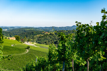 Fototapeta na wymiar View from famous wine street in south Styria (Südsteiermark), Austria on Tuscany like vineyard hills. Tourist destination