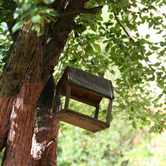 wooden bird house