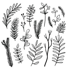 Set of hand drawn branches, leaves and berries isolated on white background. Christmas design elements. Vector illustration