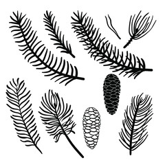 Obraz premium Set of hand drawn Christmas tree branches isolated on white background. Pine, fir, spruce branches and cone silhouettes. Christmas design elements. Vector illustration