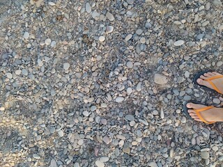 stone on the beach