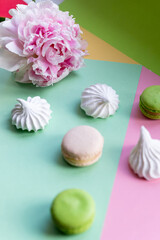 A french sweet delicacy, colorful macaroons variety closeup with flowers on white backround. Tasty macaroon colourful texture.