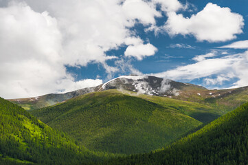 Fototapeta premium Mountains and forests of the Altai against the blue sky with clouds