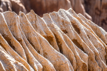Sandstone cliff rock formation close up. Details of unique landscape on the coast of Torrey Pines State Park and Reserve in La Jolla, San Diego in southern California.