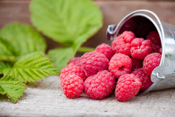 A bunch of raspberries on a wooden table close-up. Berry harvesting concept.