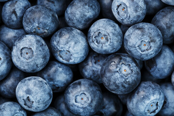 Blueberries in the form of a full-screen texture.