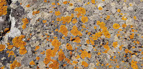 Abstract authentic authentic colored old stones backgrounds