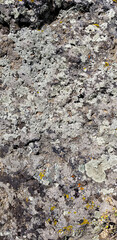 Abstract authentic authentic colored old stones backgrounds