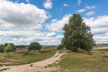 Wolkenlucht boven het Rozendaalseveld bij Arnhem