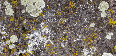 Abstract authentic authentic colored old stones backgrounds