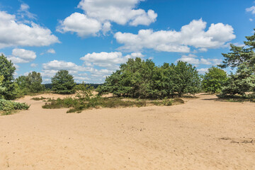 Zandverstuiving op het Rozendaalse veld, Rozendaal bij Arnhem
