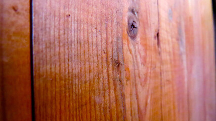 wood texture background