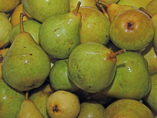 Texture ripe juicy fruit of the pear tree. Green fruit texture.