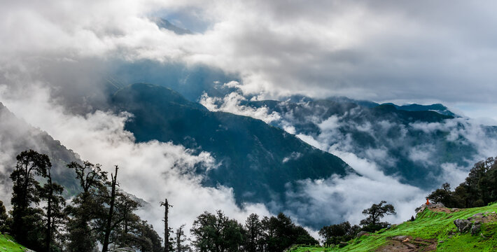 Forested mountain slope with the evergreen conifers shrouded in mist in a scenic landscape view at Triund Hill, Mcleod ganj, Himachal Pradesh, India.