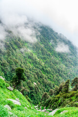 Fototapeta na wymiar Forested mountain slope with the evergreen conifers shrouded in mist in a scenic landscape view at Mcleod ganj, Himachal Pradesh, India.