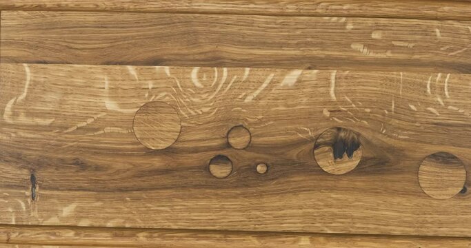 Rotation of natural oak texture. Surface with wooden caps instead of knots.