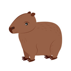 Illustration of a capybara. Rodent Capybara Character