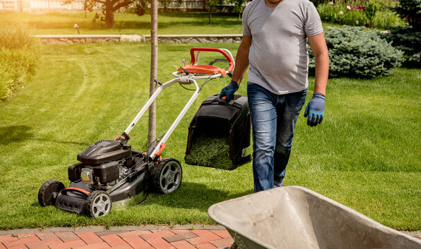 Gardener emptying lawn mower grass into a wheelbarrow after mowing.