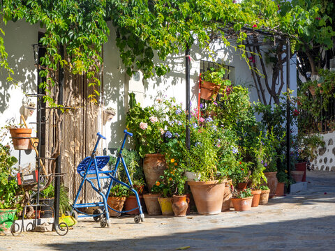 rinc&oacute;n andaluz de colores de flores y parras en un d&iacute;a de verano en el pueblo de montecorto en m&aacute;laga.
