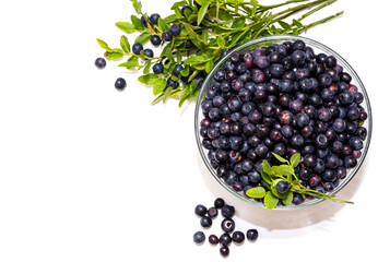 Blueberries in a glass pasade and blueberry branches on a white background. Top view.