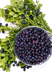 Blueberries in a glass pasade and blueberry branches on a white background. Top view.