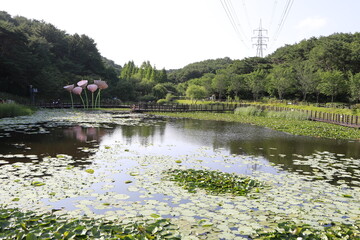 울산 공원 풍경입니다.